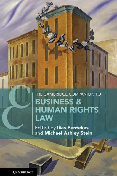 The Cambridge Companion to Business & Human Rights Law