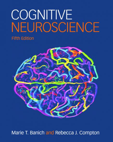 Cognitive Neuroscience