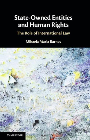 State-Owned Entities and Human Rights