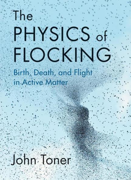 The Physics of Flocking