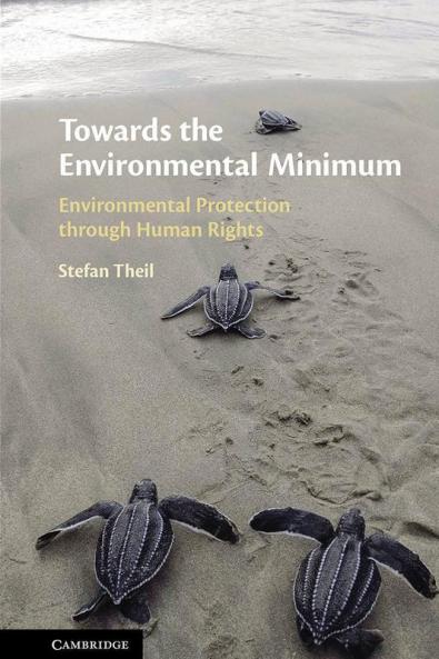 Towards the Environmental Minimum