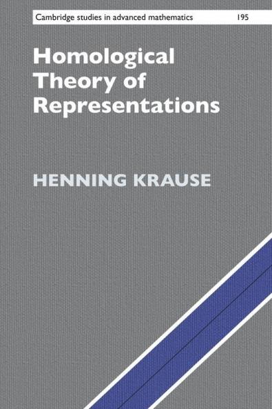 Homological Theory of Representations