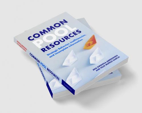 Common Pool Resources