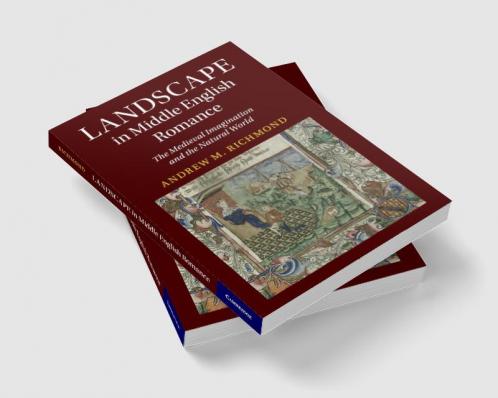Landscape in Middle English Romance