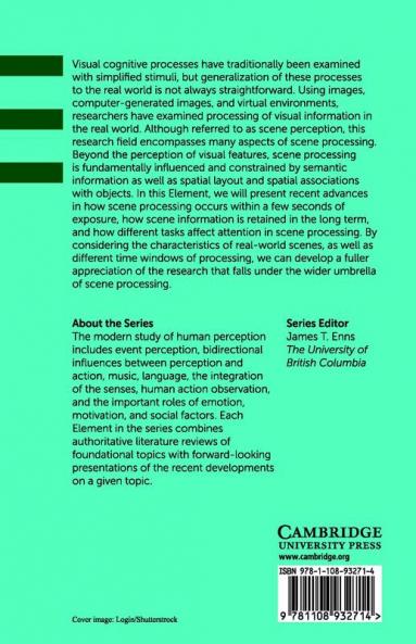 Elements of Scene Perception