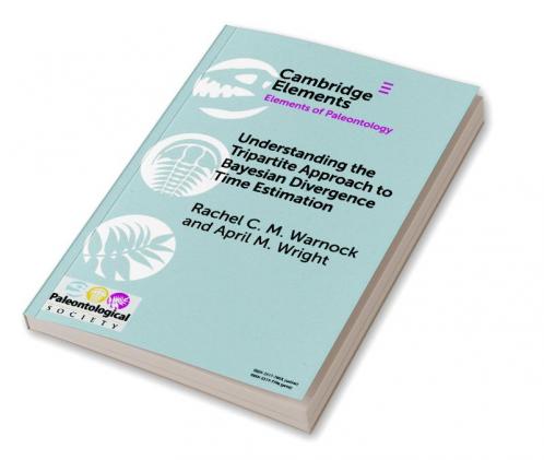 Understanding the Tripartite Approach to Bayesian Divergence Time Estimation