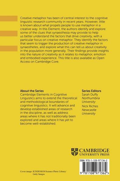 The Many Faces of Creativity