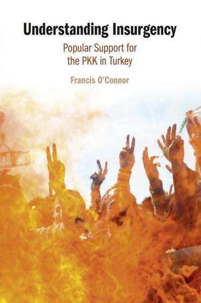Understanding Insurgency