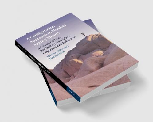 A Configuration Approach to Mindset Agency Theory