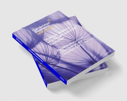 Strategy-Making and Organizational Evolution