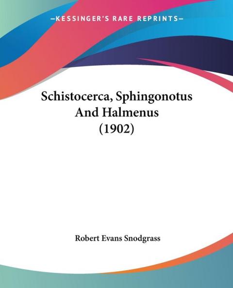 Schistocerca Sphingonotus And Halmenus (1902)
