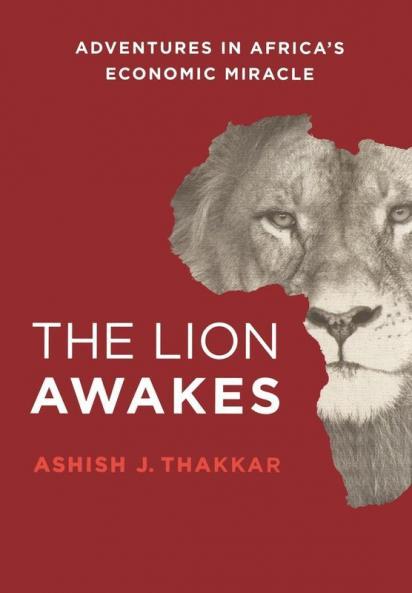 LION AWAKES