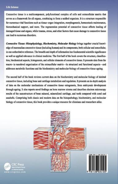 Connective Tissue