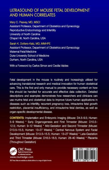 Ultrasound of Mouse Fetal Development and Human Correlates