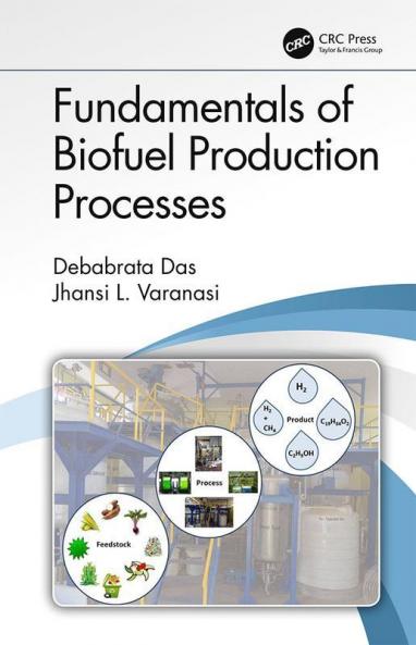 Fundamentals of Biofuel Production Processes