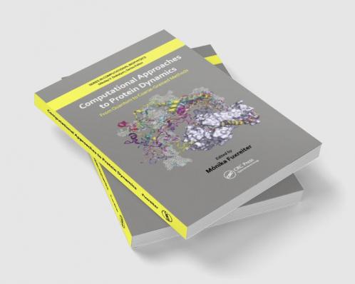 Computational Approaches to Protein Dynamics