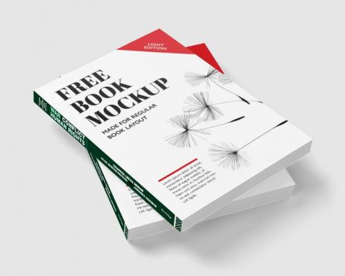 War Conflict and Human Rights