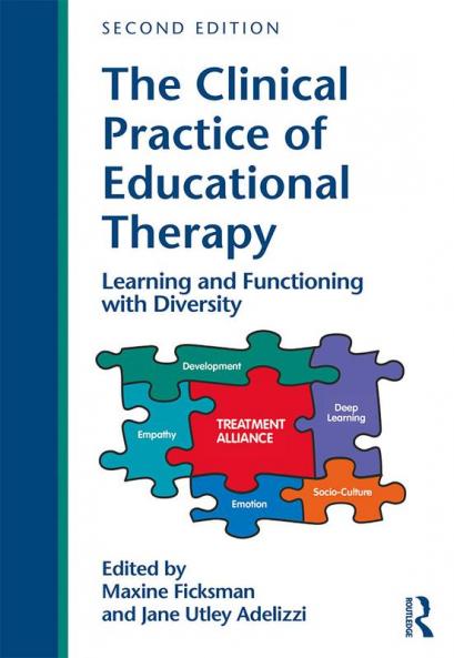Clinical Practice of Educational Therapy