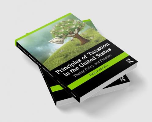 Principles of Taxation in the United States