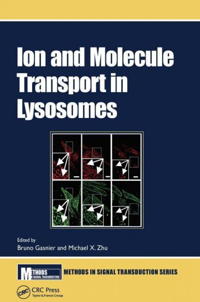 Ion and Molecule Transport in Lysosomes