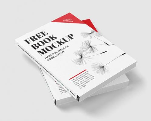 Leadership and Change in Public Sector Organizations