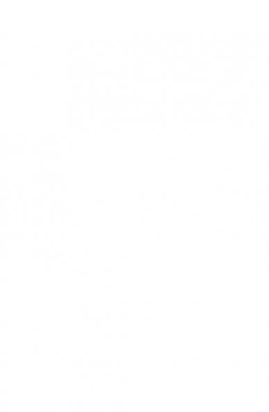 Politics of Religion in Indonesia