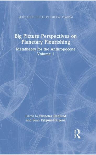 Big Picture Perspectives on Planetary Flourishing
