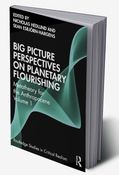 Big Picture Perspectives on Planetary Flourishing
