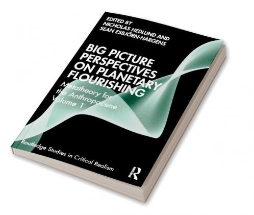 Big Picture Perspectives on Planetary Flourishing