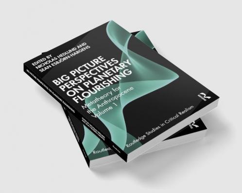 Big Picture Perspectives on Planetary Flourishing