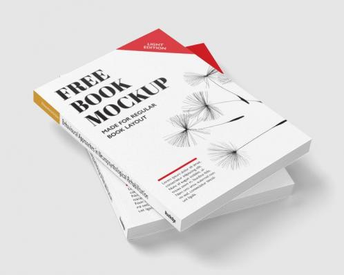 Behavioural Approaches in Neuropsychological Rehabilitation