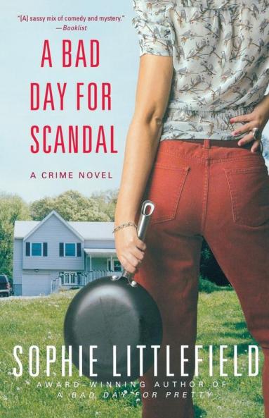 A Bad Day for Scandal: A Crime Novel: 3 (Stella Hardesty Crime Novels 3)