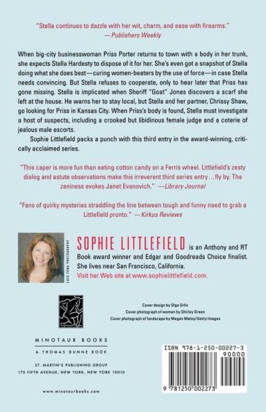 A Bad Day for Scandal: A Crime Novel: 3 (Stella Hardesty Crime Novels 3)