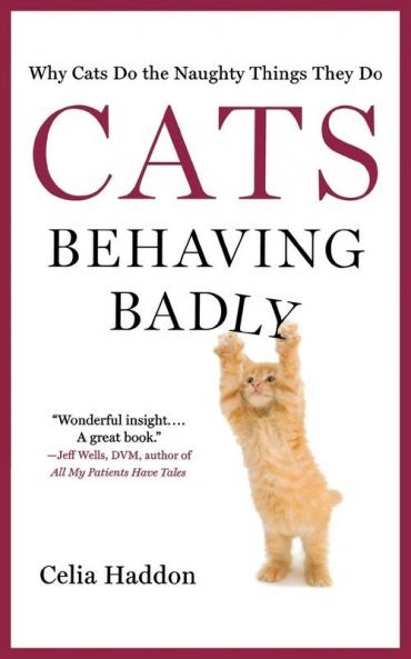 CATS BEHAVING BADLY