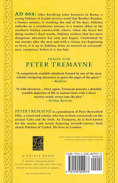Behold a Pale Horse: A Mystery of Ancient Ireland: 22 (Mysteries of Ancient Ireland 22)