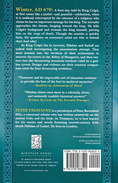 Atonement of Blood: A Mystery of Ancient Ireland: 24 (Mysteries of Ancient Ireland 24)