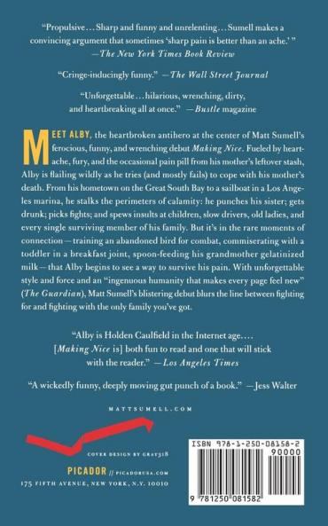 Making Nice: A Novel in Stories