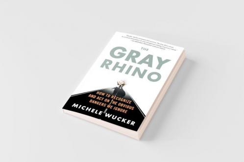 The Gray Rhino
