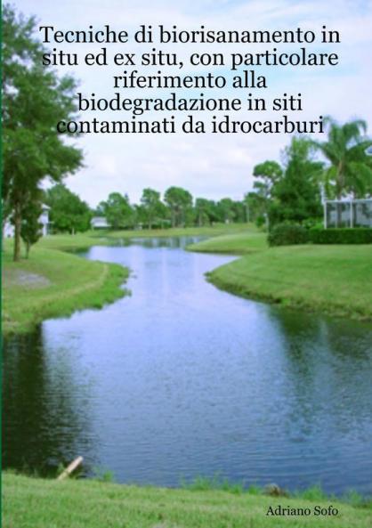 Tecniche di biorisanamento in situ ed ex situ con particolare riferimento alla biodegradazione in siti contaminati da idrocarburi