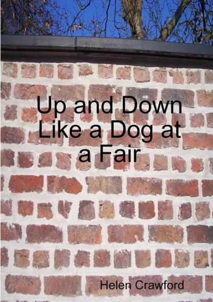 Up and Down Like a Dog at a Fair