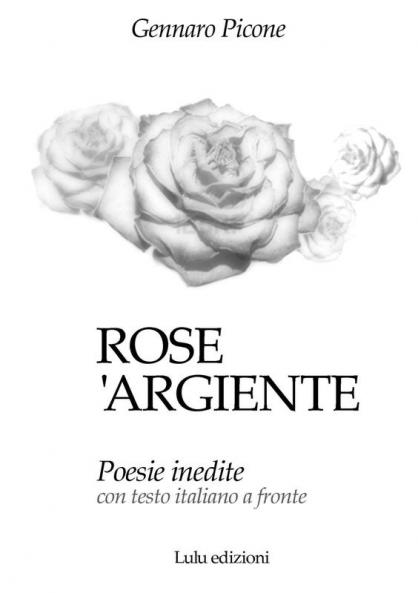 Rose 'argiente