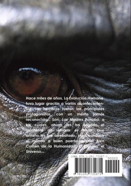 Evolution Respuestas a la Crisis
