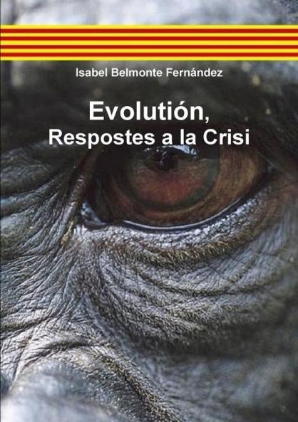 Evolutión Respostes a la Crisi