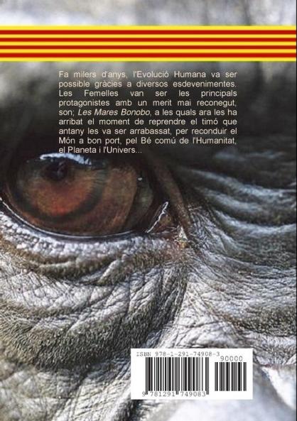 Evolutión Respostes a la Crisi