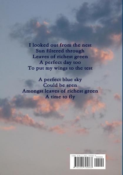 The Wings of the Heartt