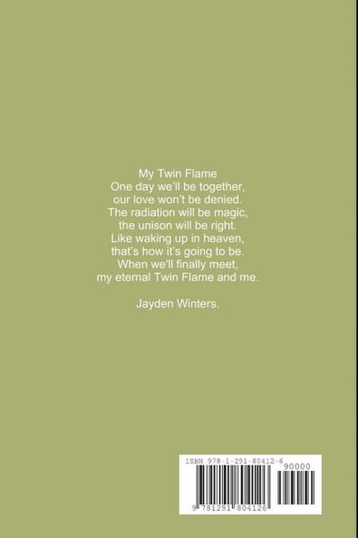 Twin Flames - The Journey of Love
