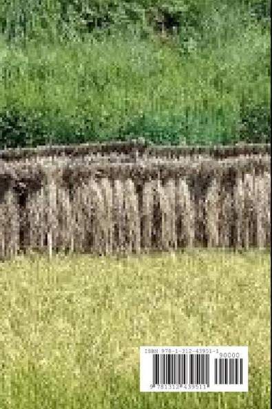 What Would Jesus Write?