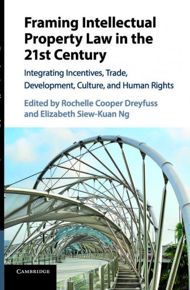 Framing Intellectual Property Law in the 21st Century