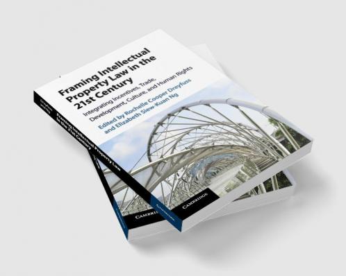 Framing Intellectual Property Law in the 21st Century