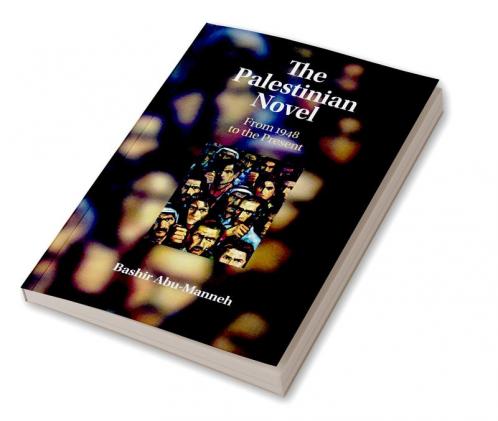 The Palestinian Novel
